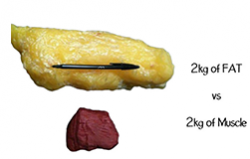 Body scan - Weight Loss