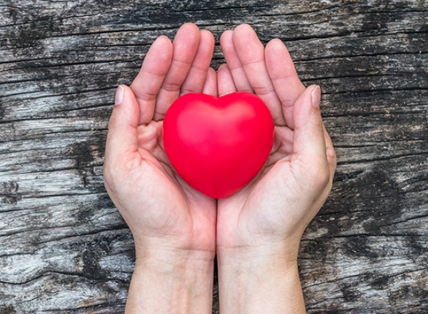 heart in hands 600pxls